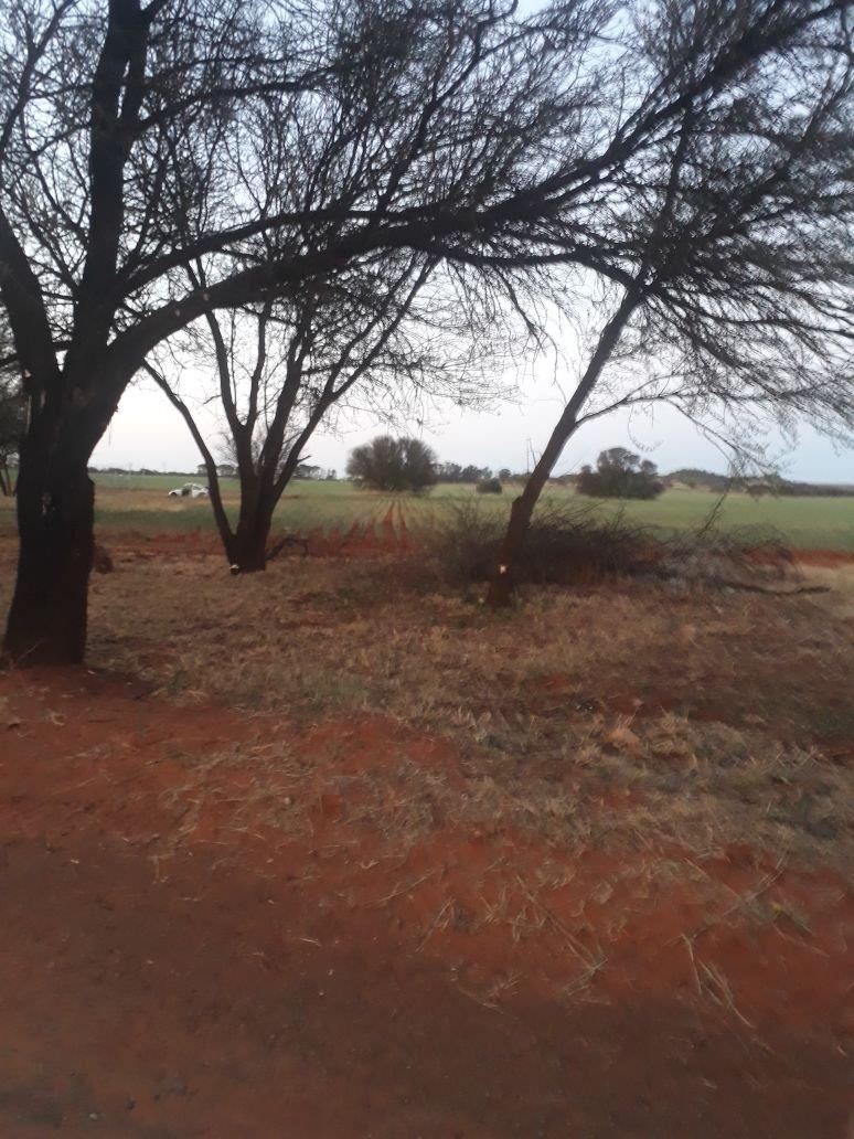 Mangaung Property Property and houses for sale in Mangaung