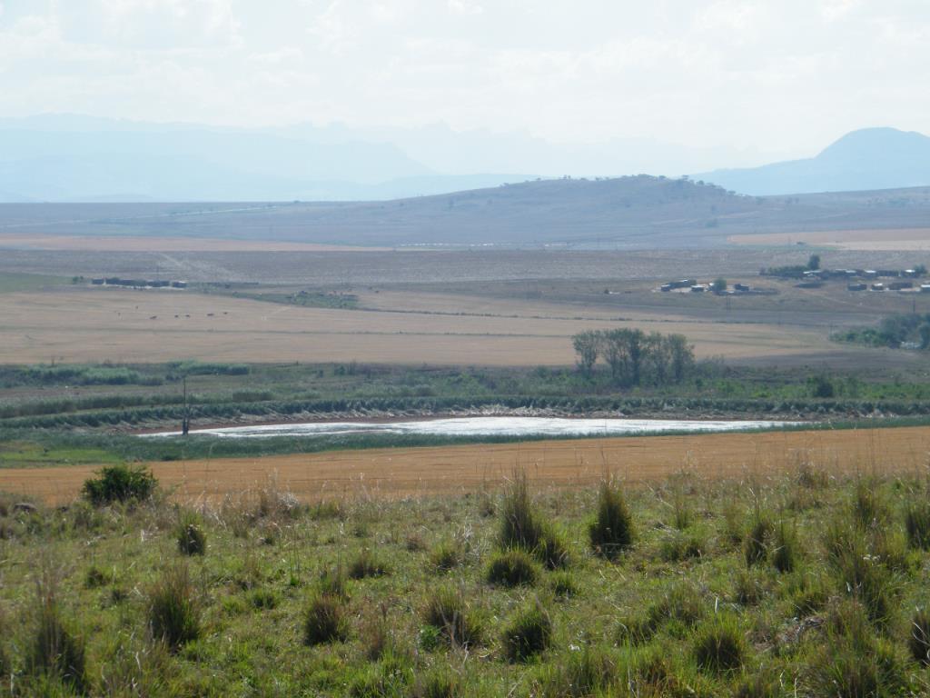 Farm for sale in Winterton Rural P24105636550