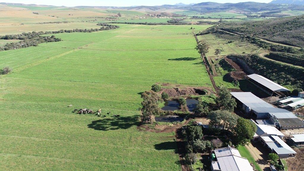 Riversdale Rural Property Property and houses for sale in Riversdale