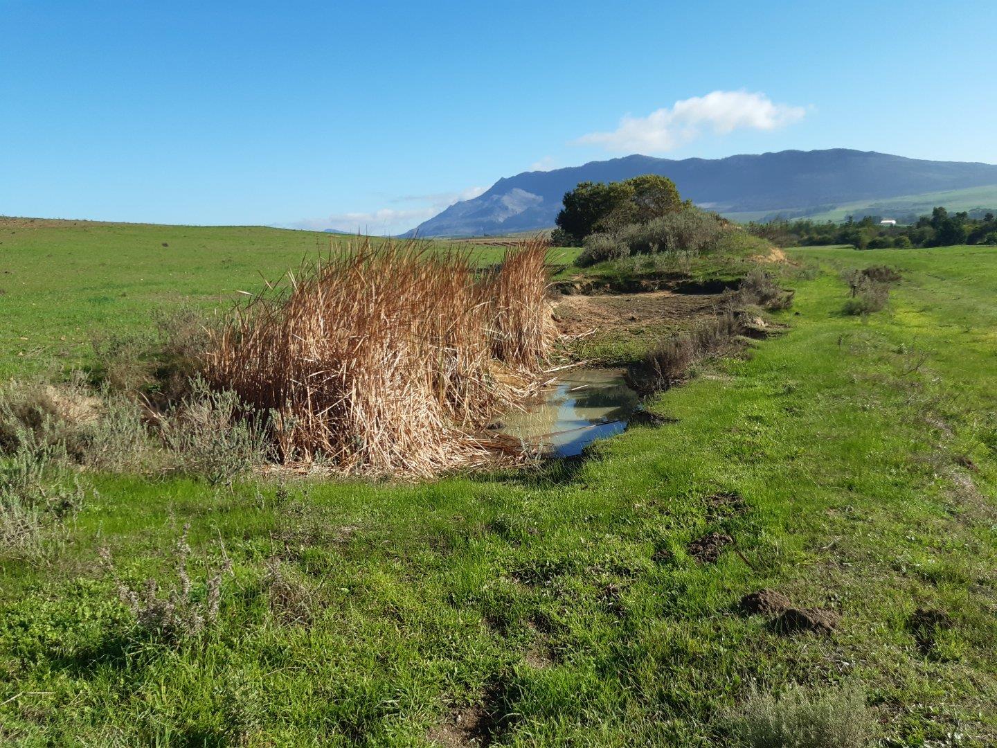Overberg Property Farm for sale in Overberg Page 8