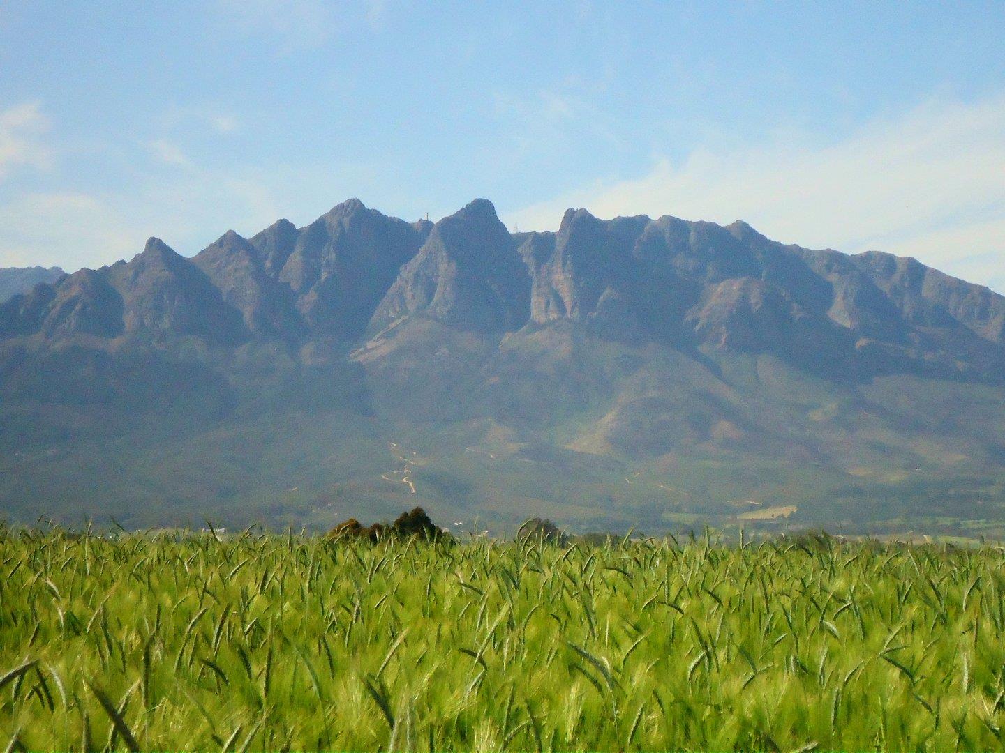 Farm for sale in Wellington Rural P24107932907