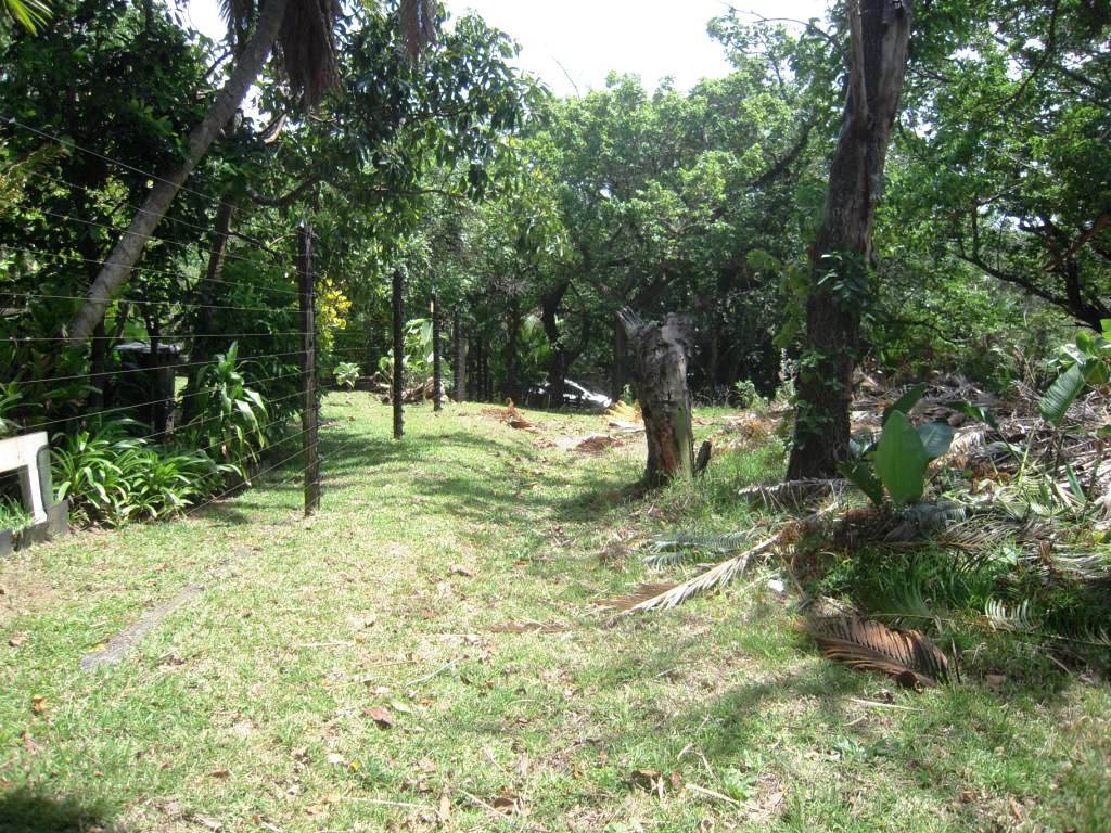 Leisure Bay Property Property and houses for sale in Leisure Bay