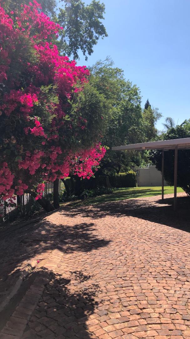 2 Bedroom Apartment / flat to rent in Monument Park 58 Korhaan Ave