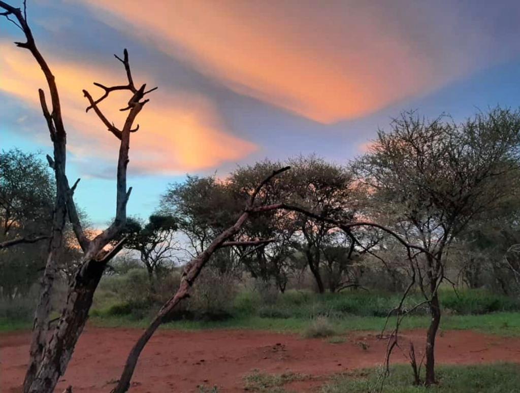 Vacant land / plot for sale in Northam 41 Geelhaak Street P24108835857