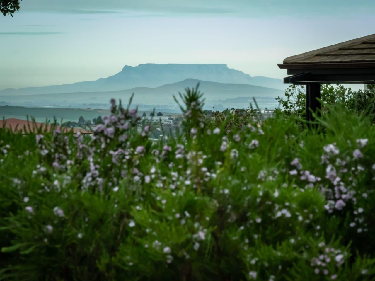 Mount Royal Golf Estate Property Property and houses for sale in