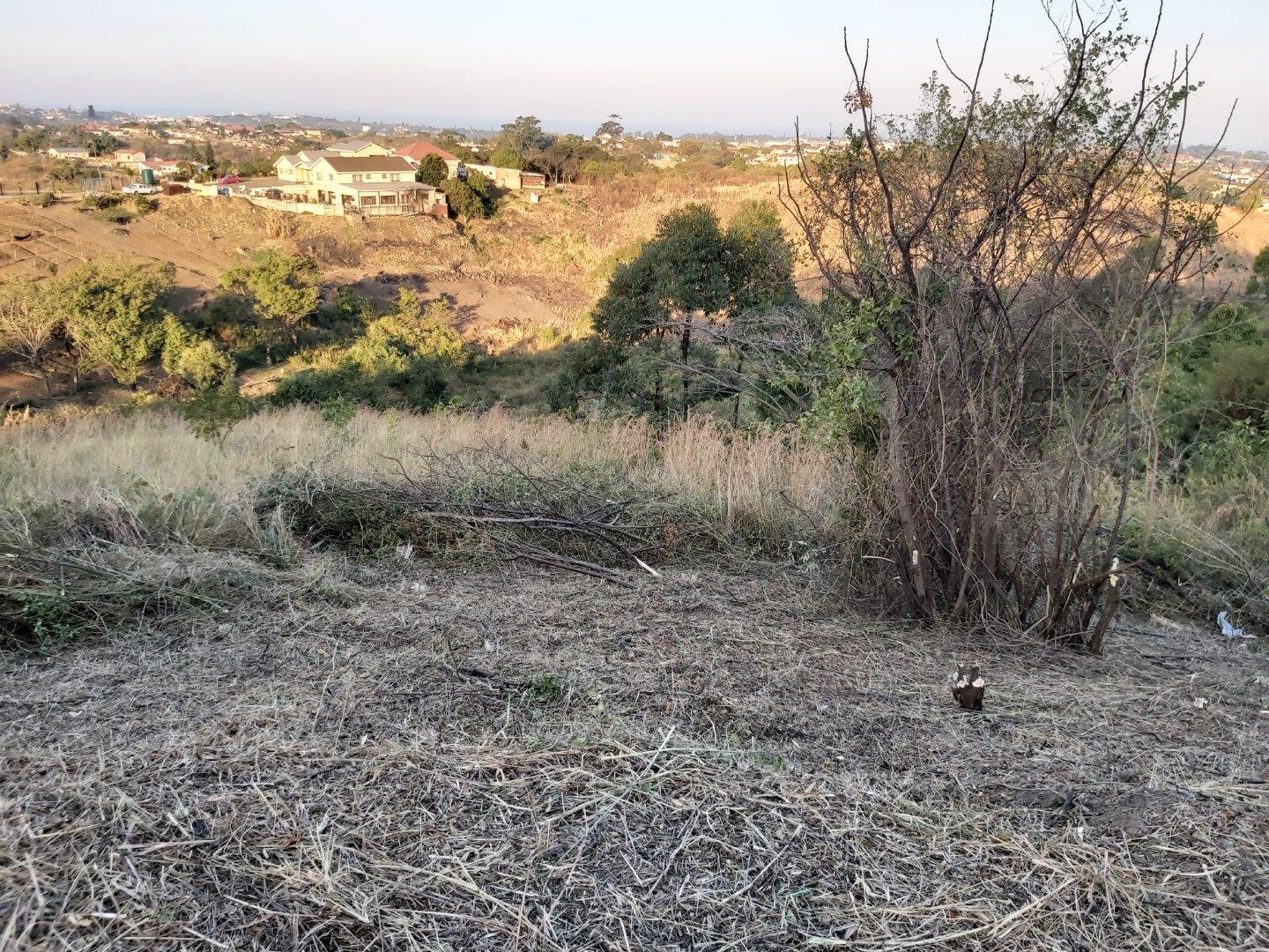 Vacant land / plot for sale in Marburg 2175 Venus P24108970677