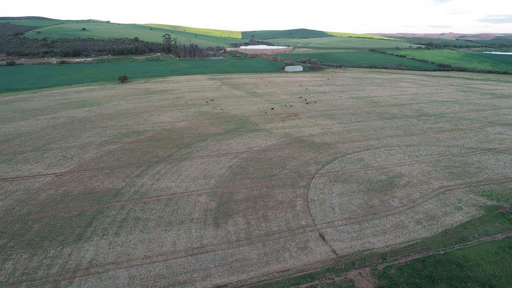 Property and houses for sale in Heidelberg, Western Cape Heidelberg