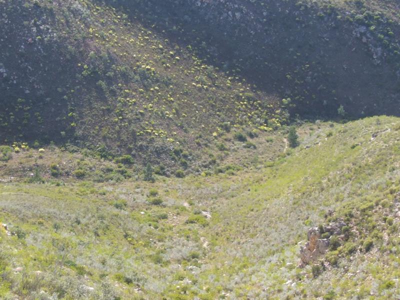 Vacant land / plot for sale in Joubertina Rural P24108803831