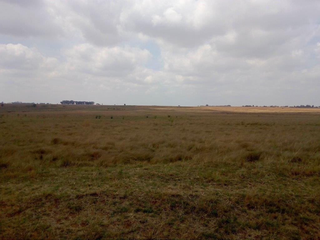 Vacant land / plots to rent in Delmas Delmas Property