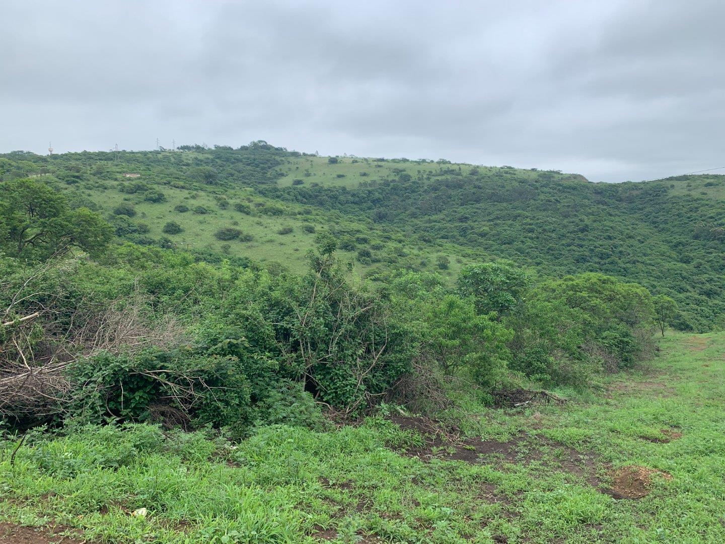 Vacant land / plot for sale in Camperdown Rural P24109430545