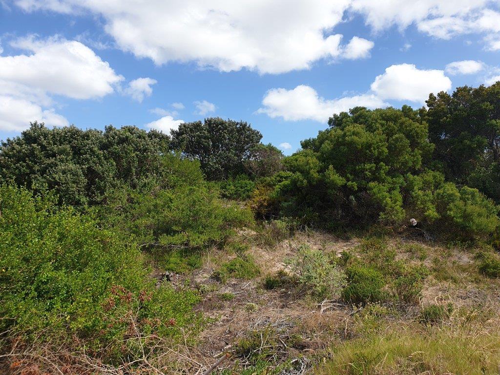 Paradise Beach, Jeffreys Bay Property Property and houses for sale in