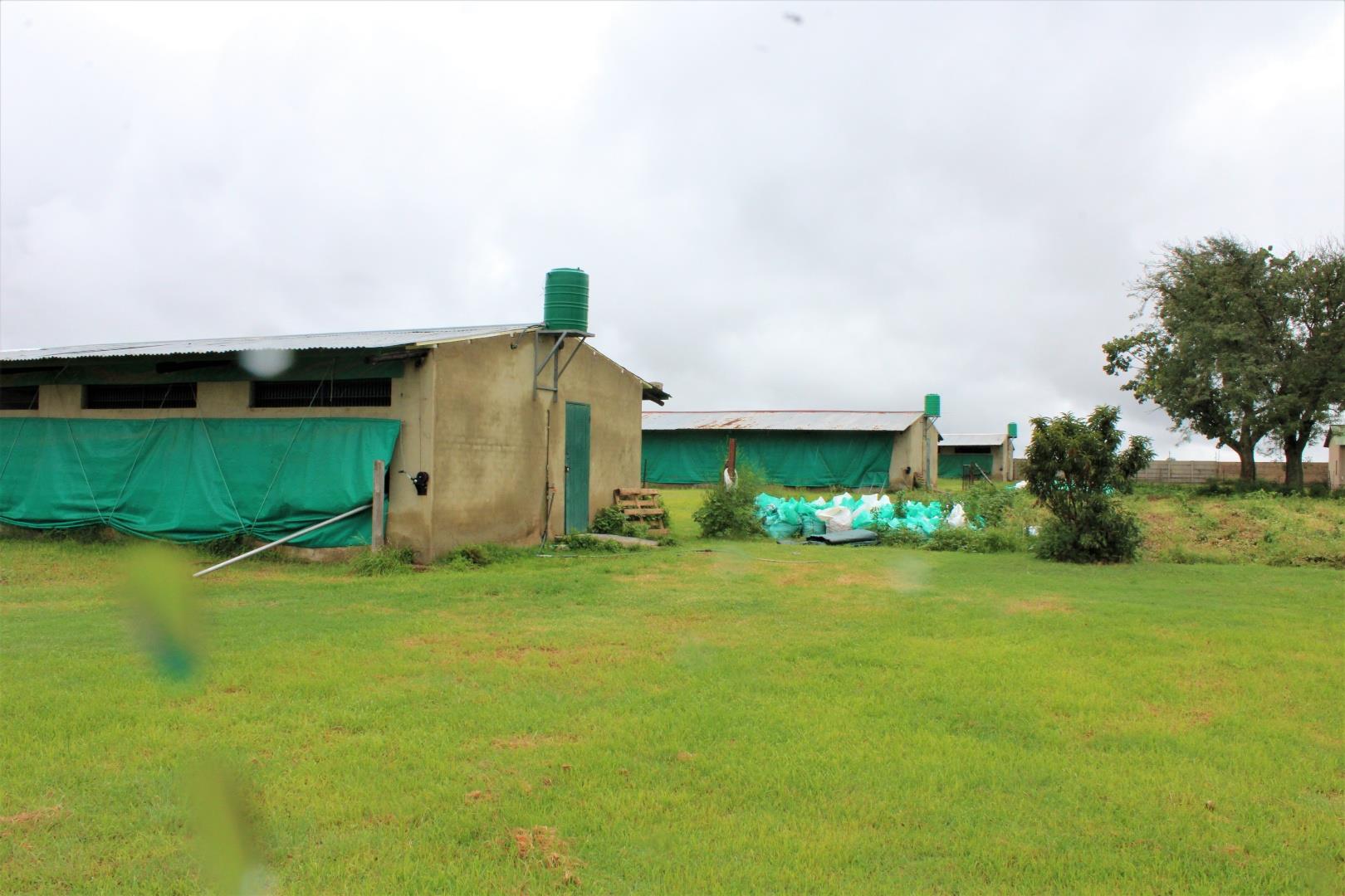 Randfontein Rural Property Farms for sale in Randfontein Rural