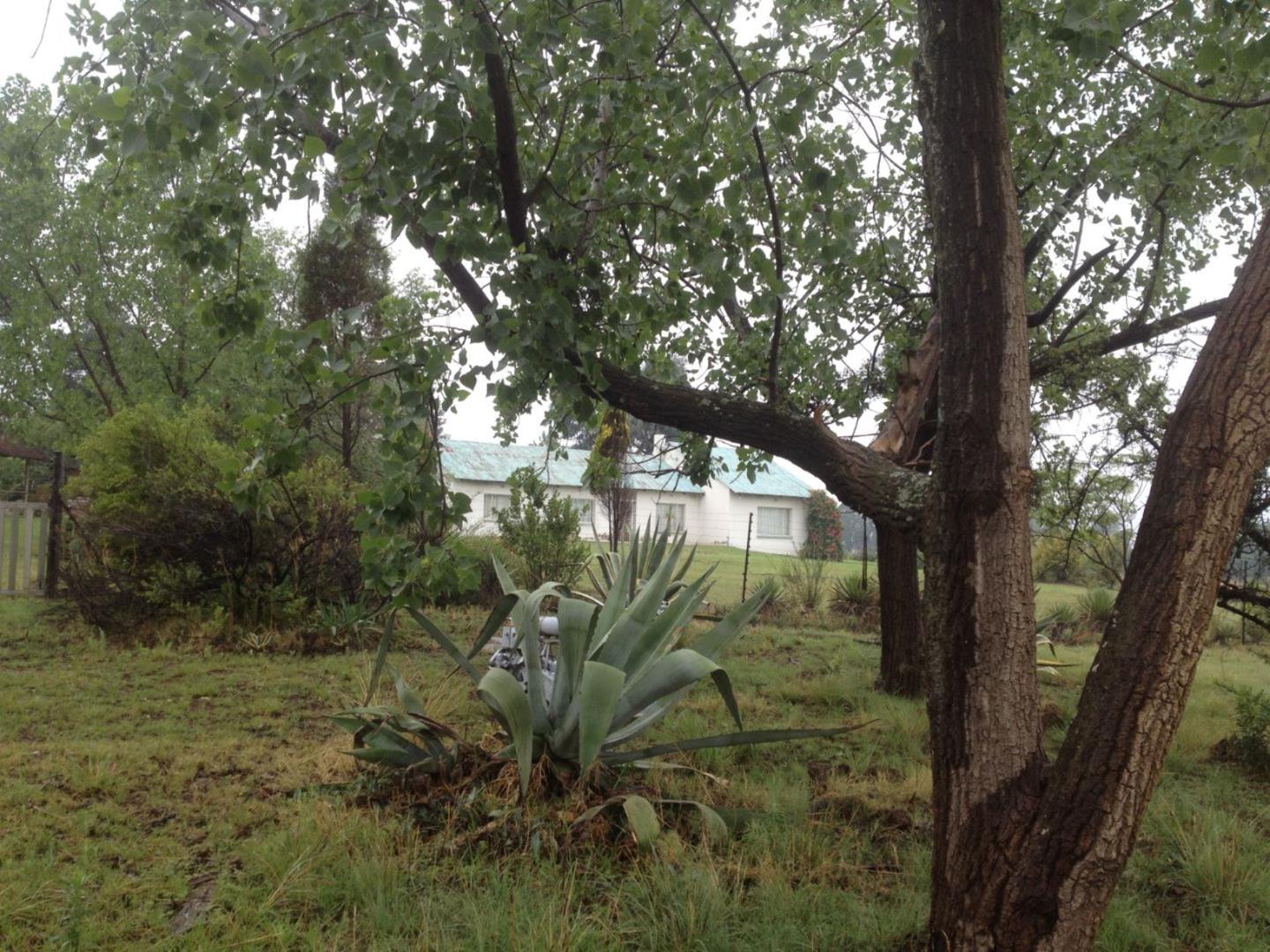 Honeydew Property Farms for sale in Honeydew