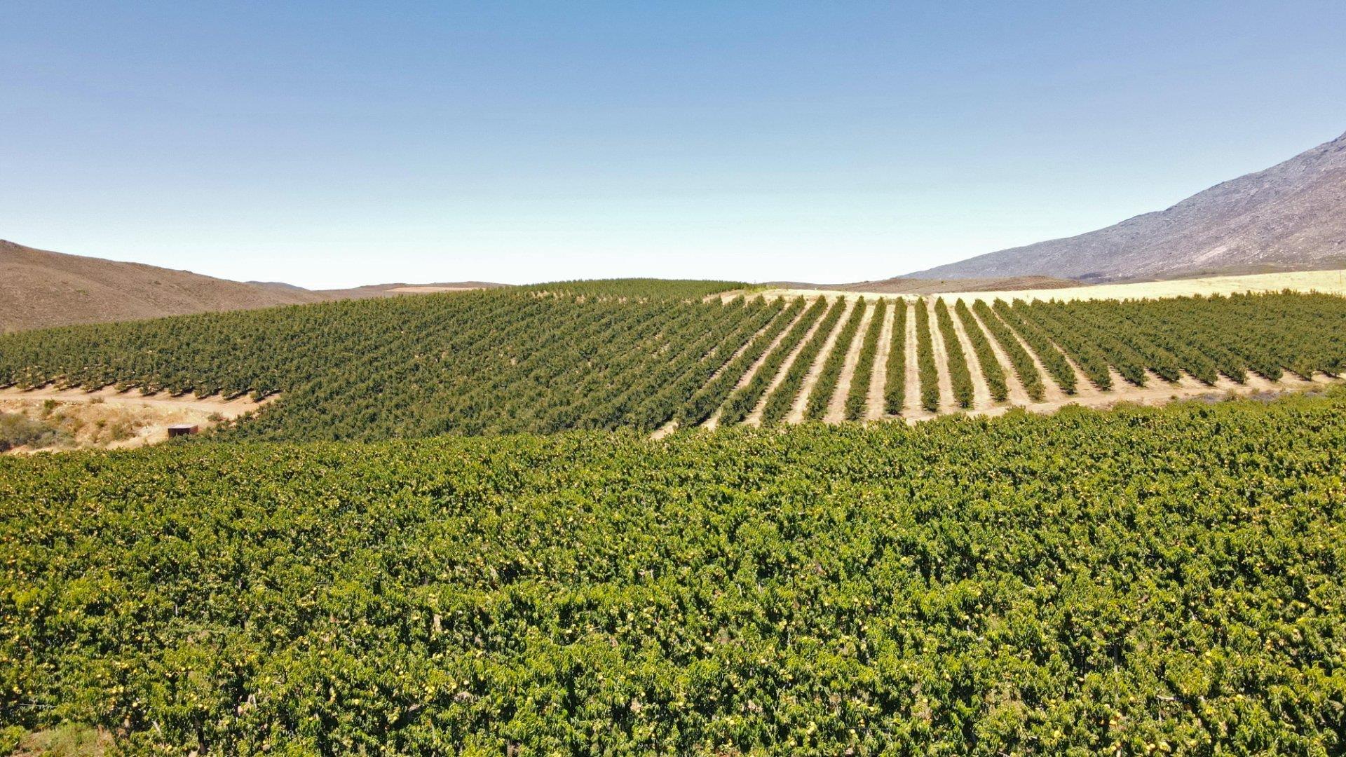 Montagu Rural Property Property and houses for sale in Montagu Rural