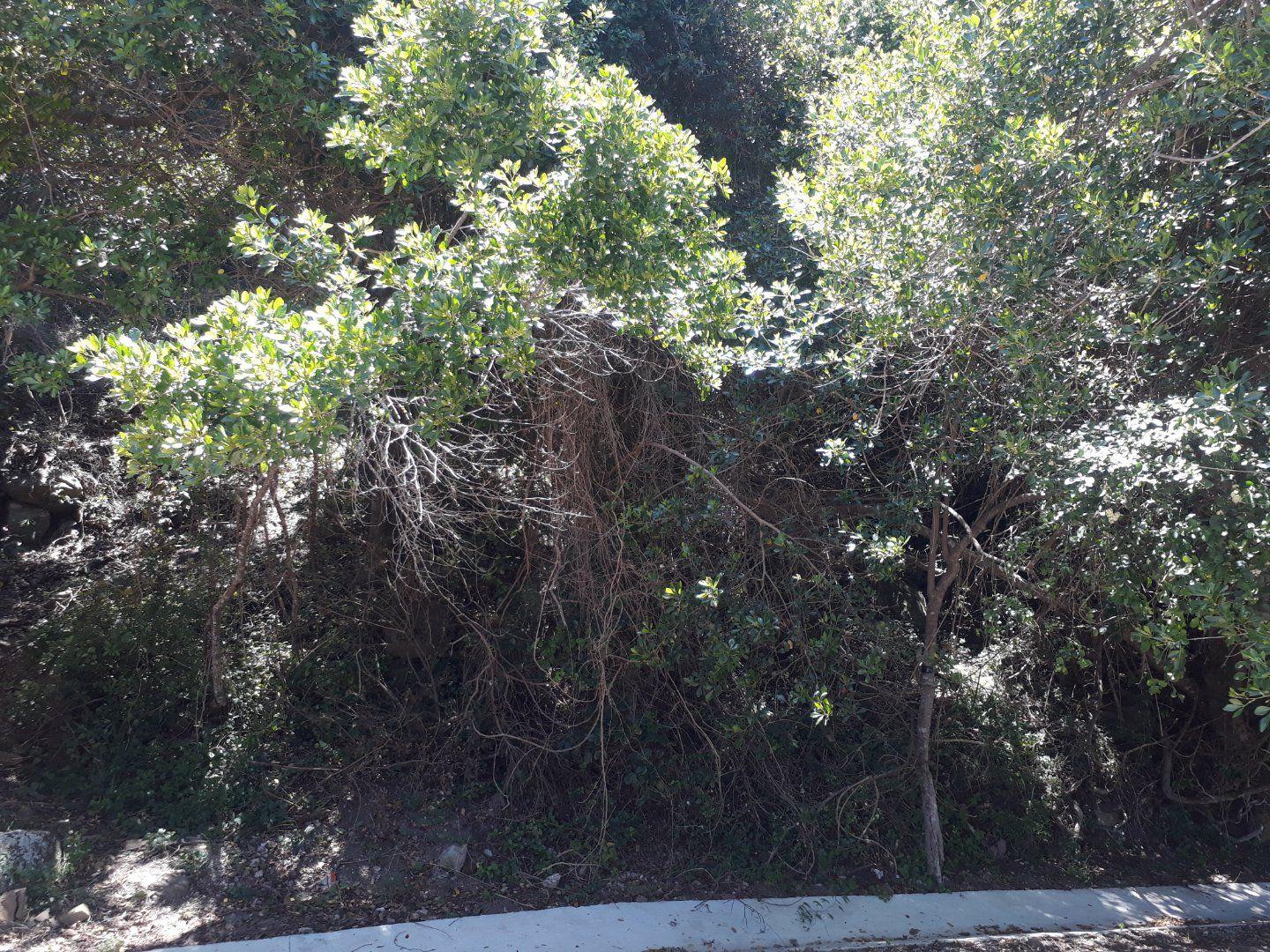 Wilderness Central Property Property and houses for sale in