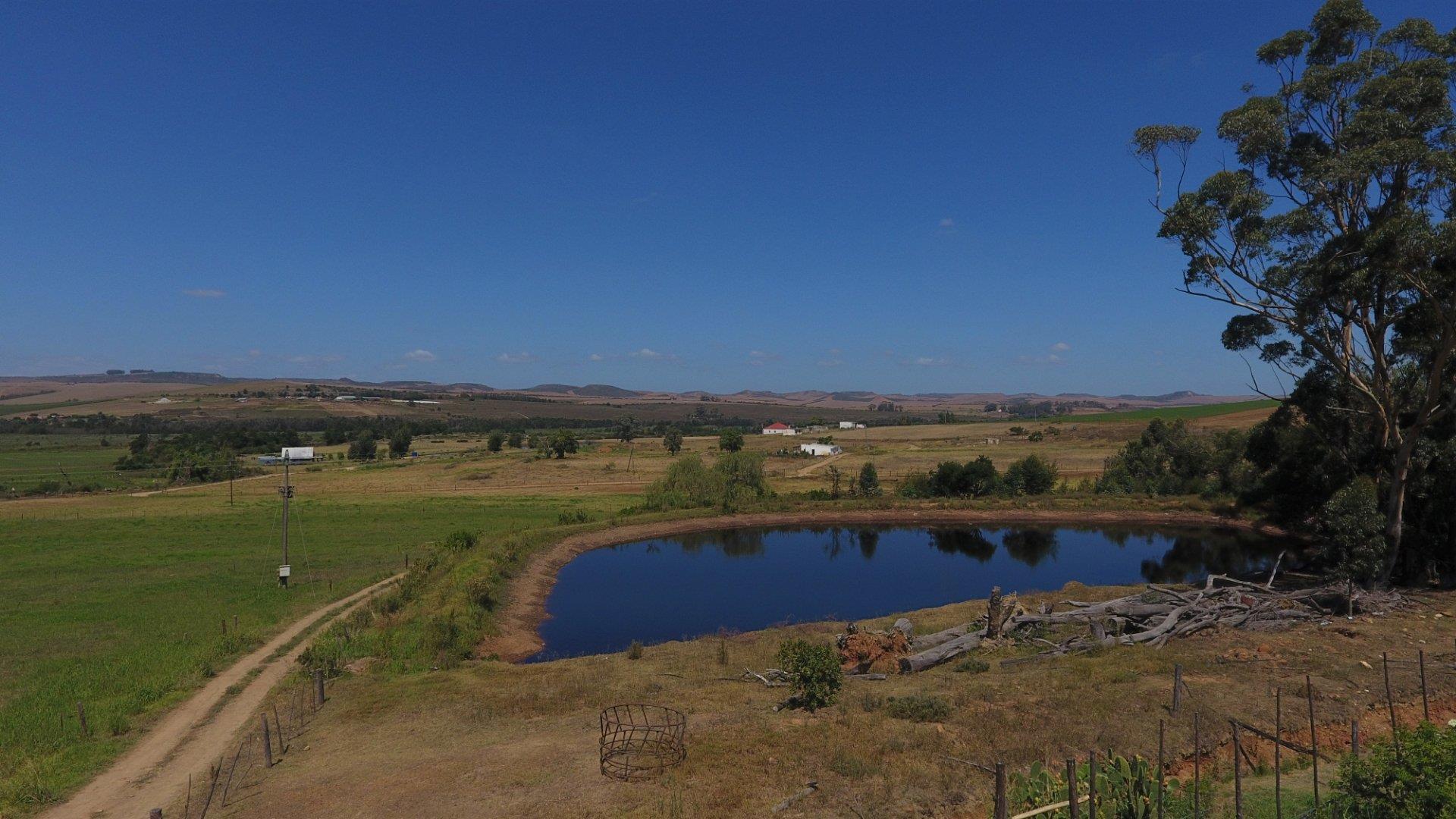 Riversdale Rural Property Property and houses for sale in Riversdale