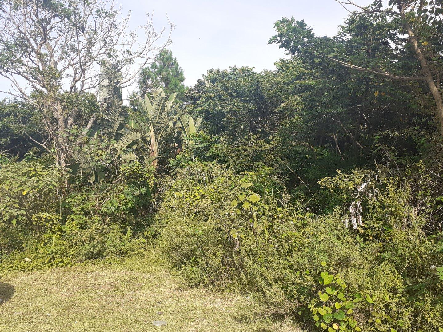 Vacant land / plots for sale in Port Shepstone Port Shepstone