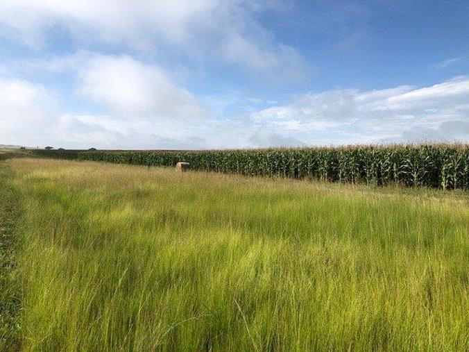 Farm for Sale in Vryheid