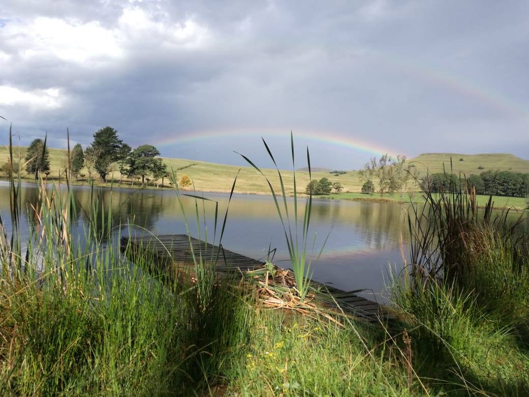 Farm for sale in Nottingham Road P24109745948