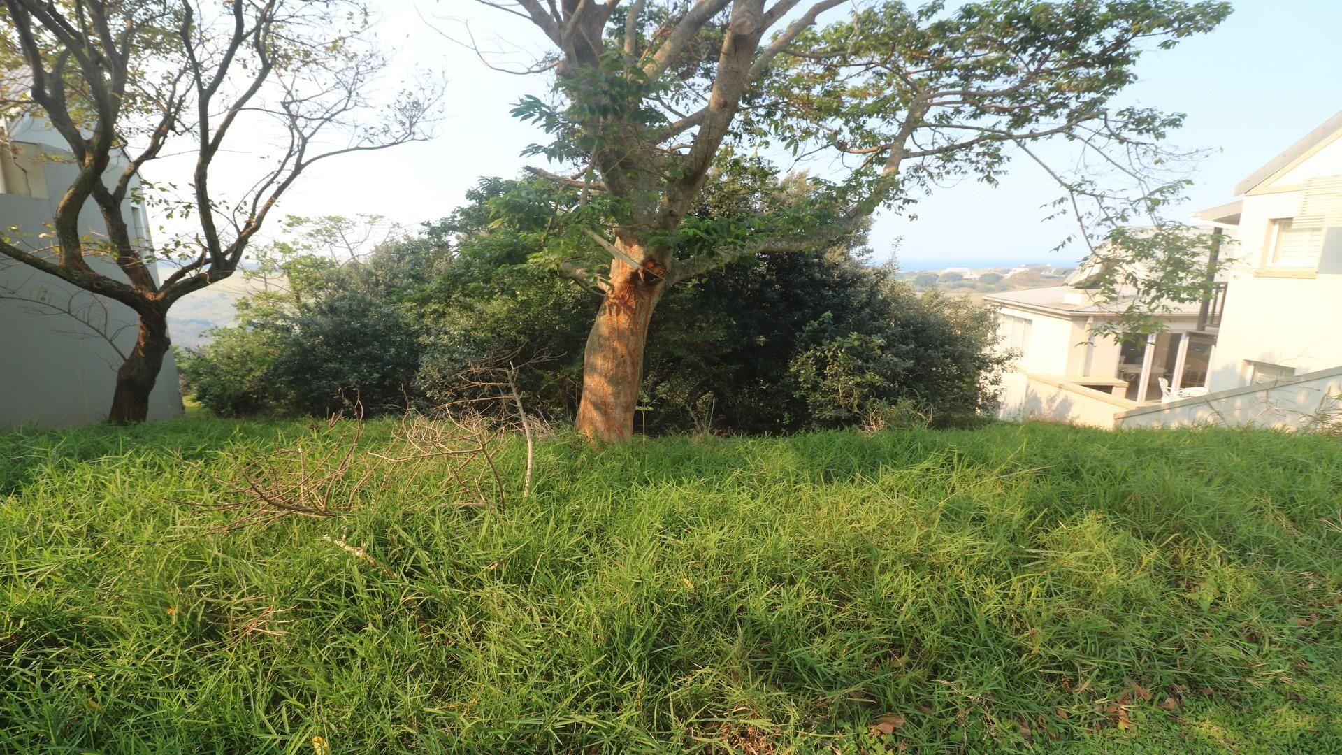 Prince's Grant Golf Estate Property Property and houses for sale in