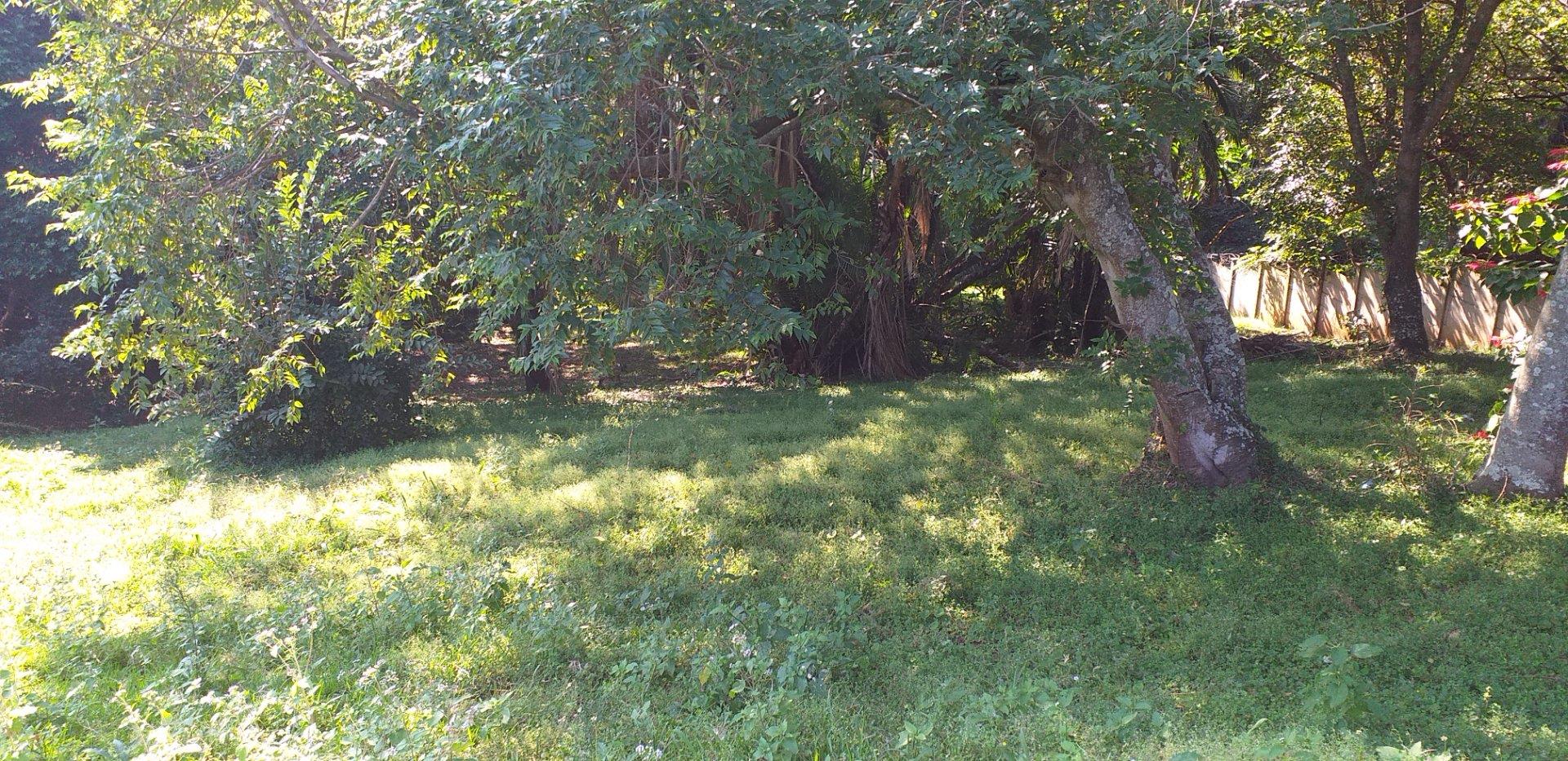 Vacant land / plot for sale in Catalina Bay 460 Adrienne Avenue P24