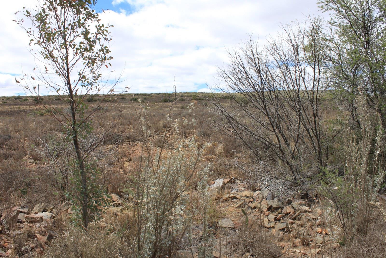 Property and houses for sale in Willowmore Willowmore Property