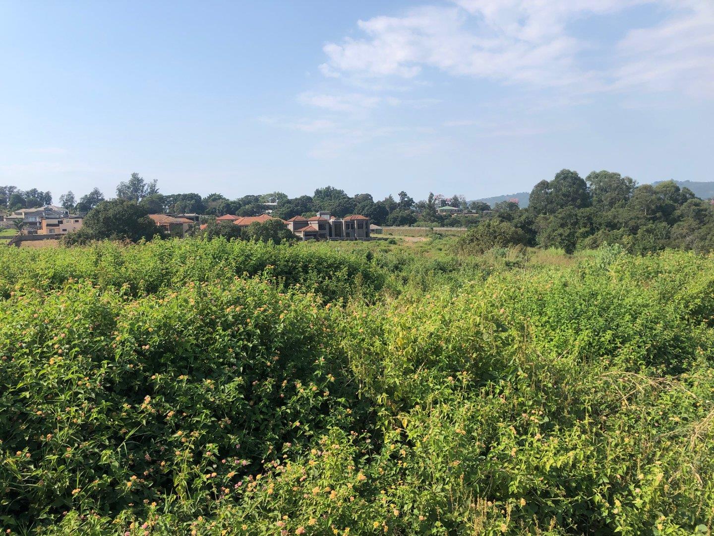 Riverside Estate, Tzaneen Property Property and houses for sale in