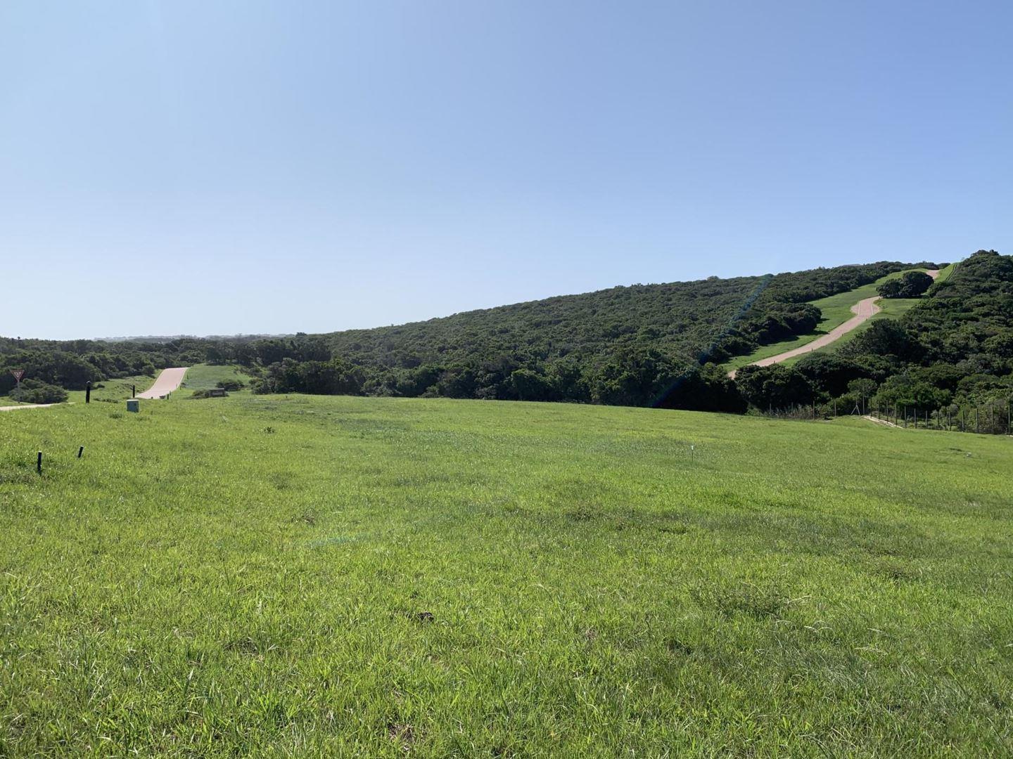 Vacant land / plot for sale in Kenton On Sea Eco Estate P24100010117