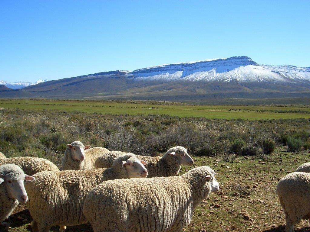 Farm for sale in Ceres Rural P24105203255