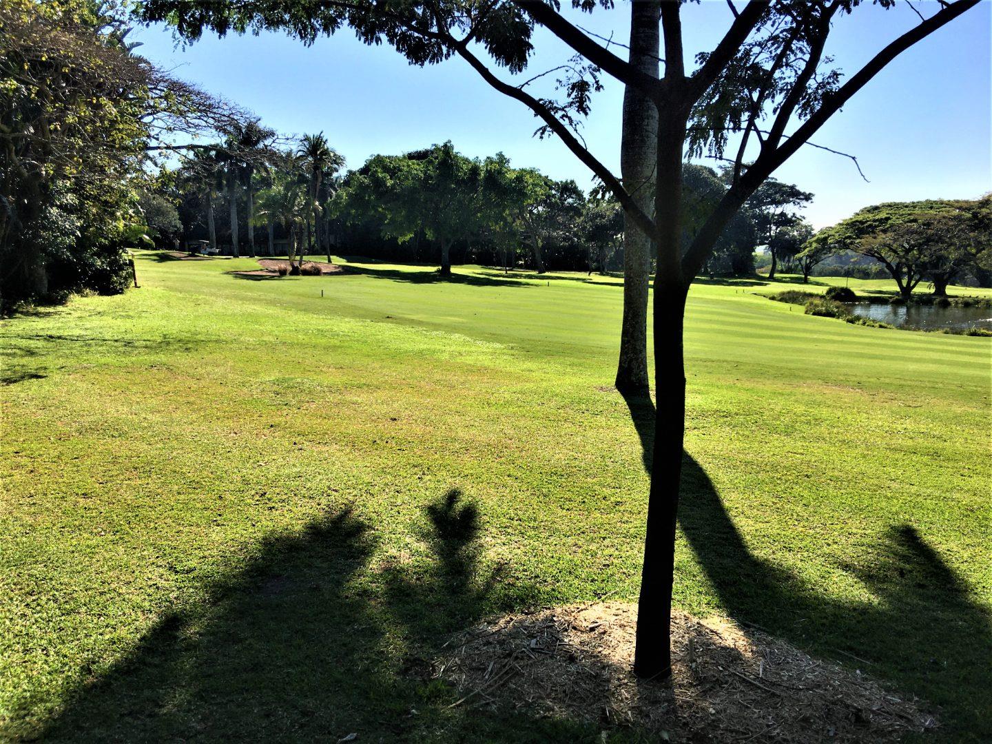 3 Bedroom Apartment / flat for sale in Selborne Golf Estate P24110075920