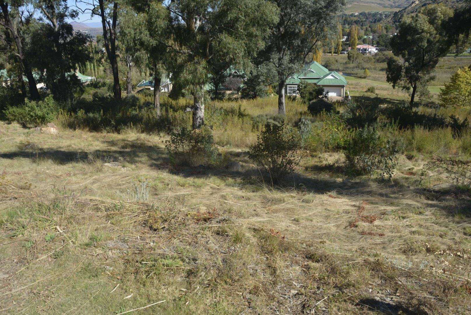 Vacant land / plot for sale in Clarens Golf & Trout Estate P24110086761