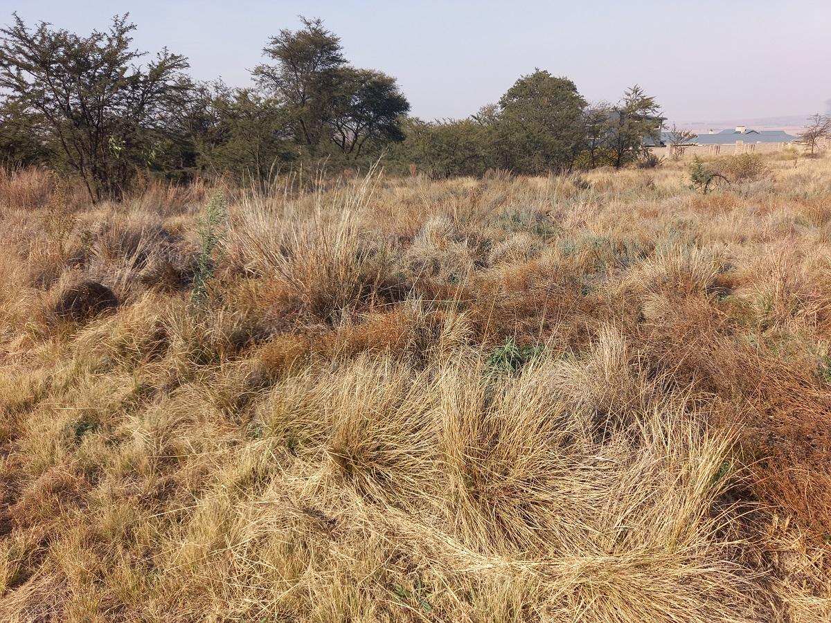 Berg En Dal, Heidelberg Property Property and houses for sale in Berg