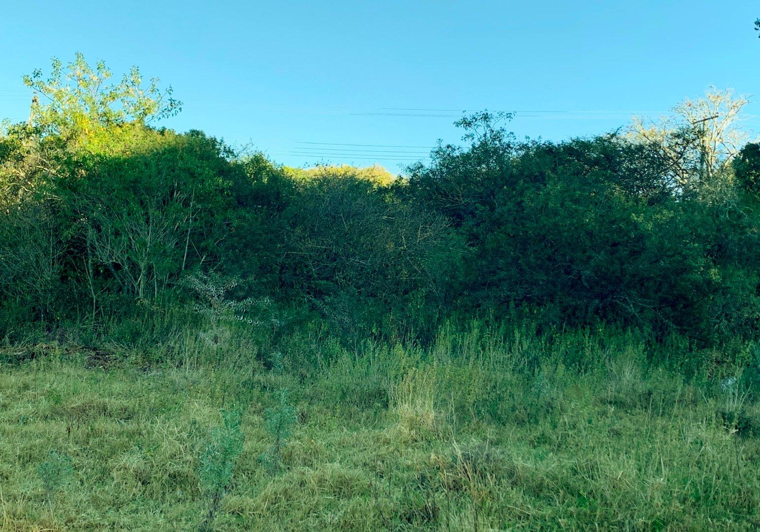 Vacant land / plots for sale in Bathurst Bathurst Property Page 3