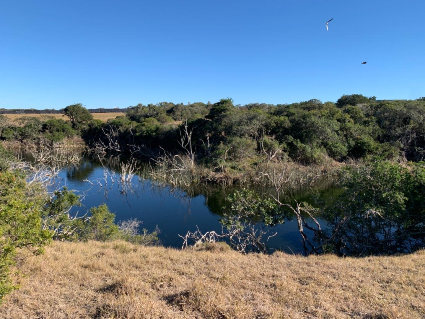 Vacant land / plot for sale in Kenton On Sea Eco Estate 1 Kestrel Creek, Erf 3415 P24110197342