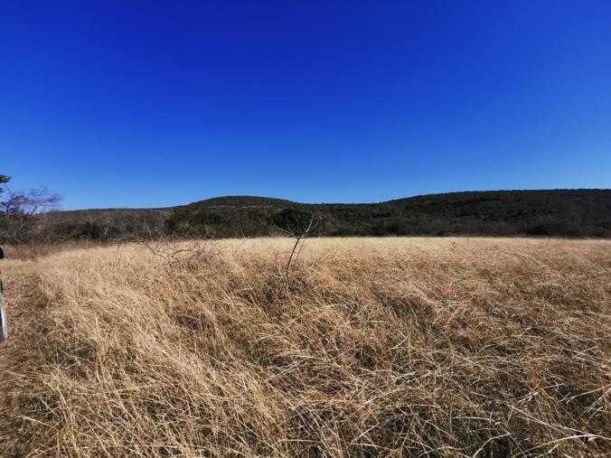 Farm for Sale in East London Rural