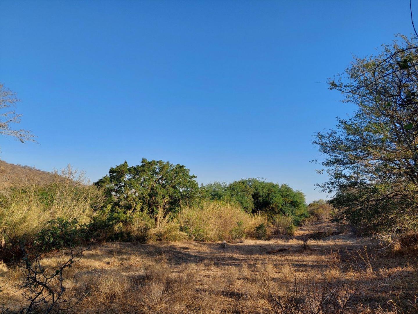 Elephant Rock Eco Estate Property Property and houses for sale in