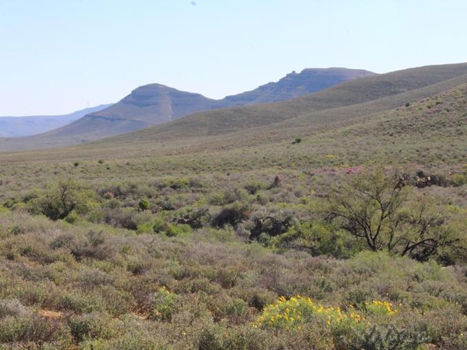 Farm for Sale in Ceres Rural