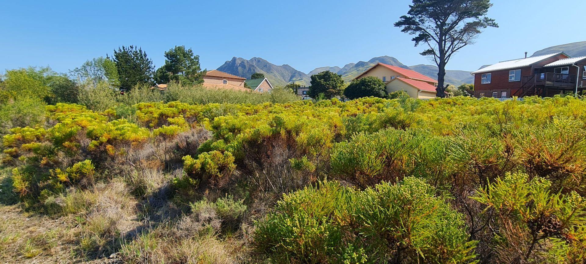 Vacant land / plot for sale in Kleinmond Central 10 Agapanthus Street
