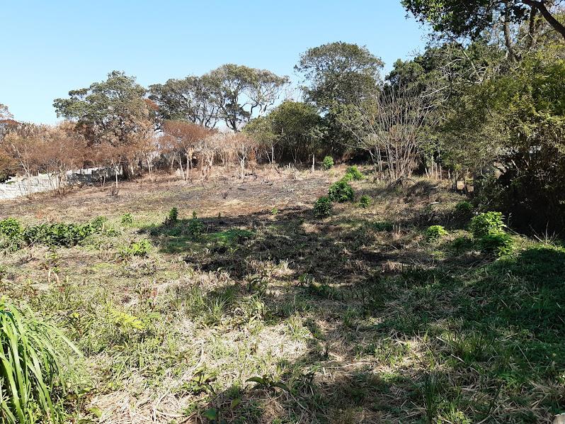 Oslo Beach Property Property and houses for sale in Oslo Beach Page 6