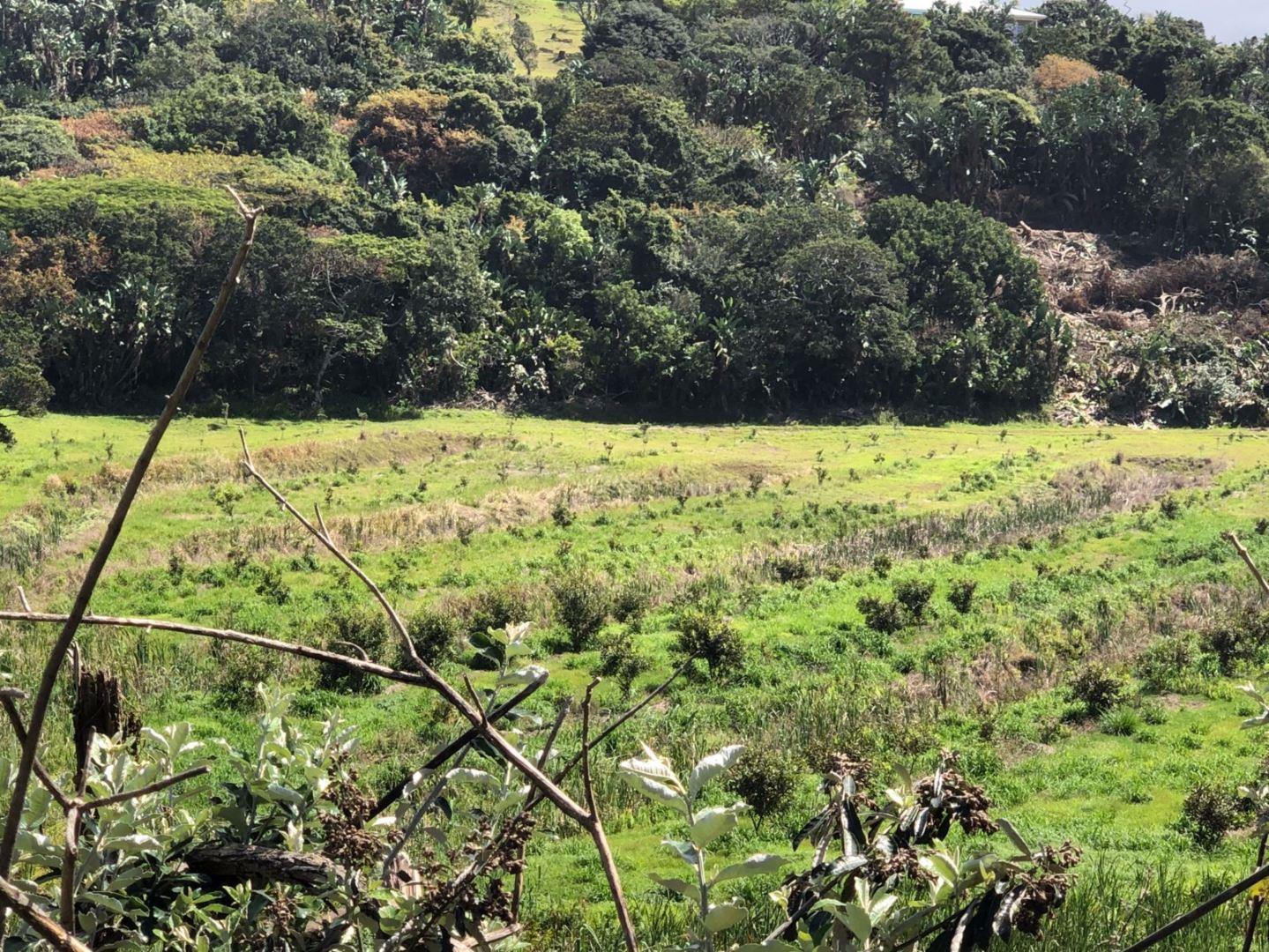 Vacant land / plot for sale in Trafalgar P24110472767