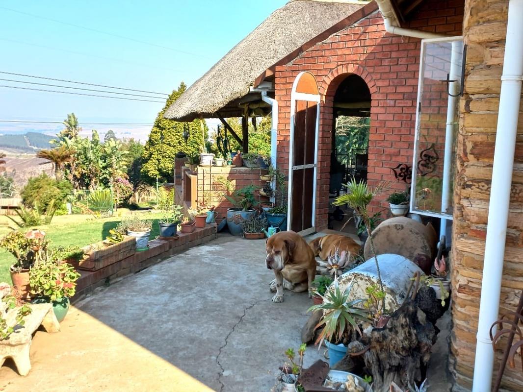 Vacant land / plot for sale in Greytown Rural 1246 P24110474754