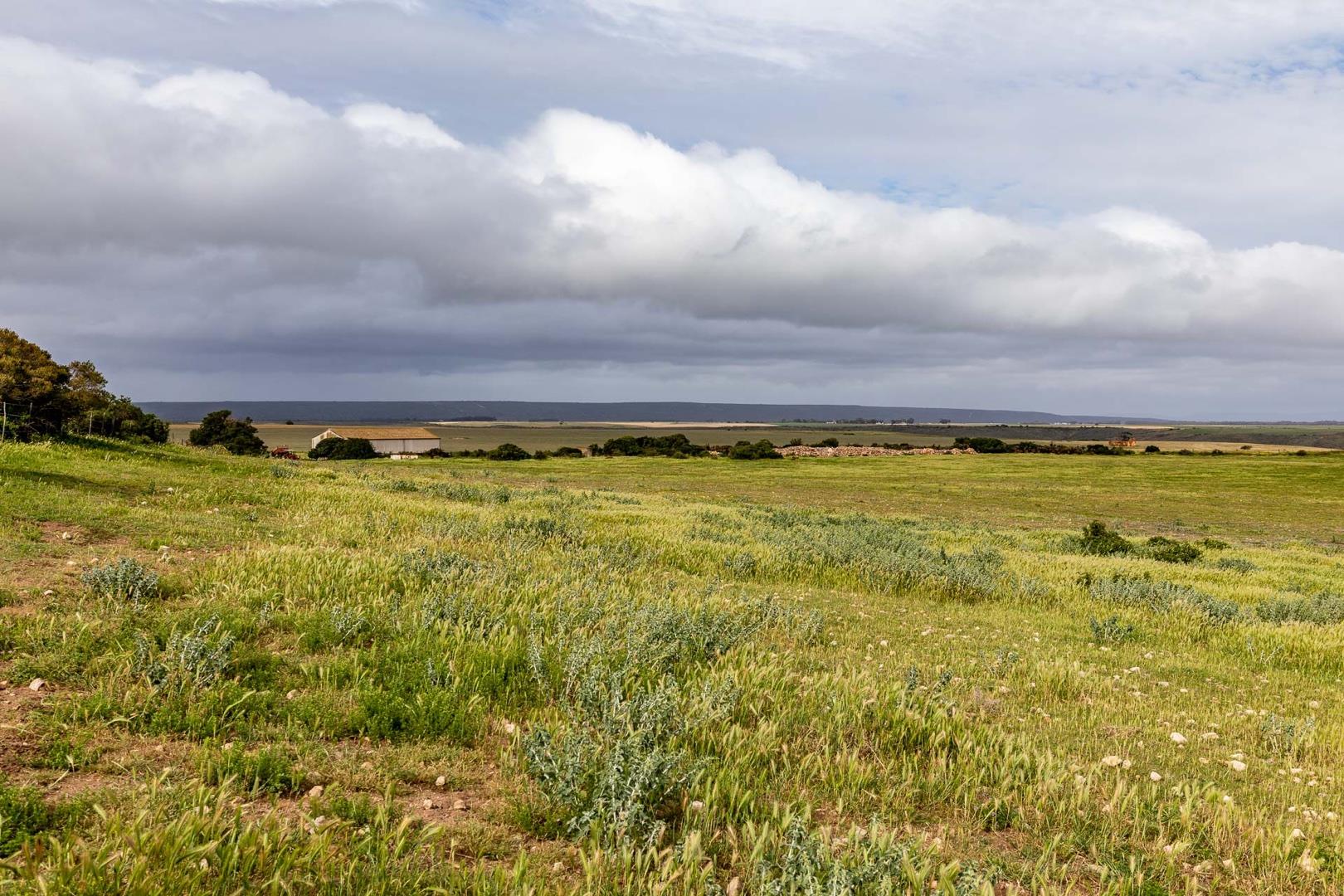 Riversdale Rural Property Property and houses for sale in Riversdale