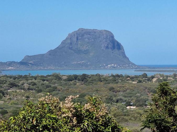 Vacant Land / Plot for Sale in Petite Riviere Noire