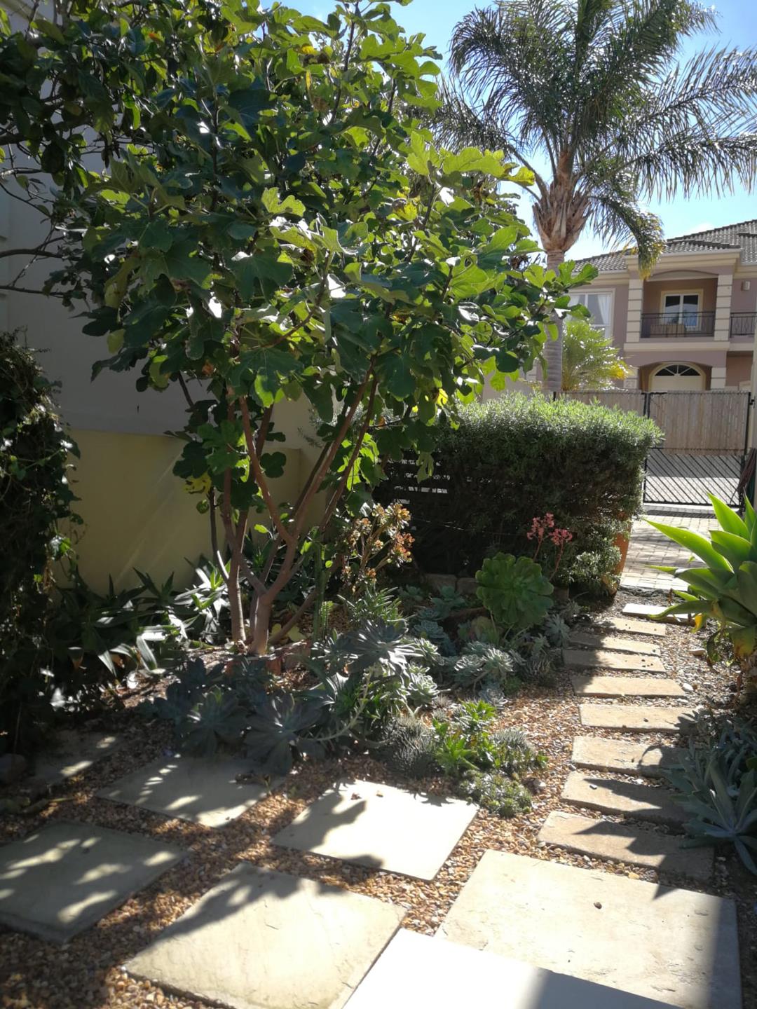 Van Riebeeckshof Property Property and houses to rent in Van