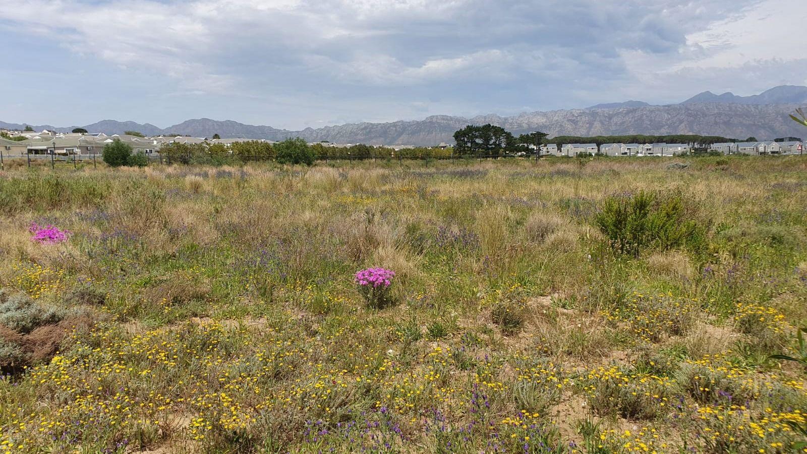 Somerset Lakes Property Property and houses for sale in Somerset