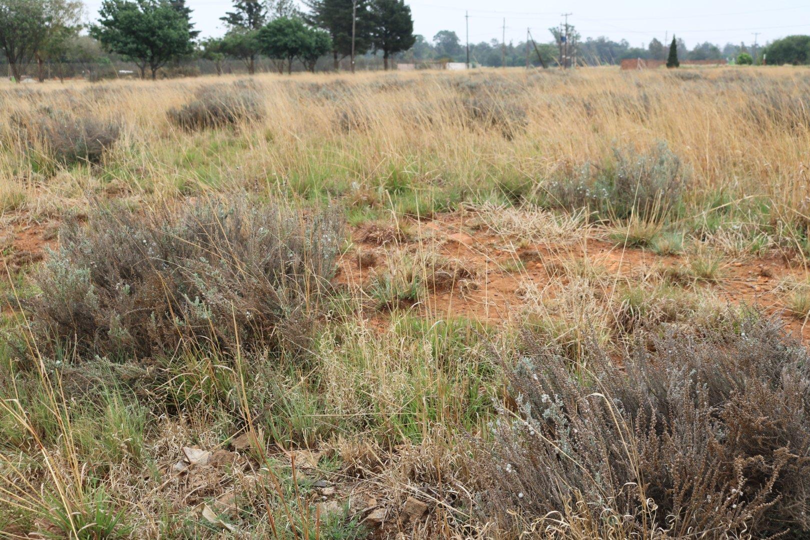 Vacant land / plot for sale in Highbury P24110627767