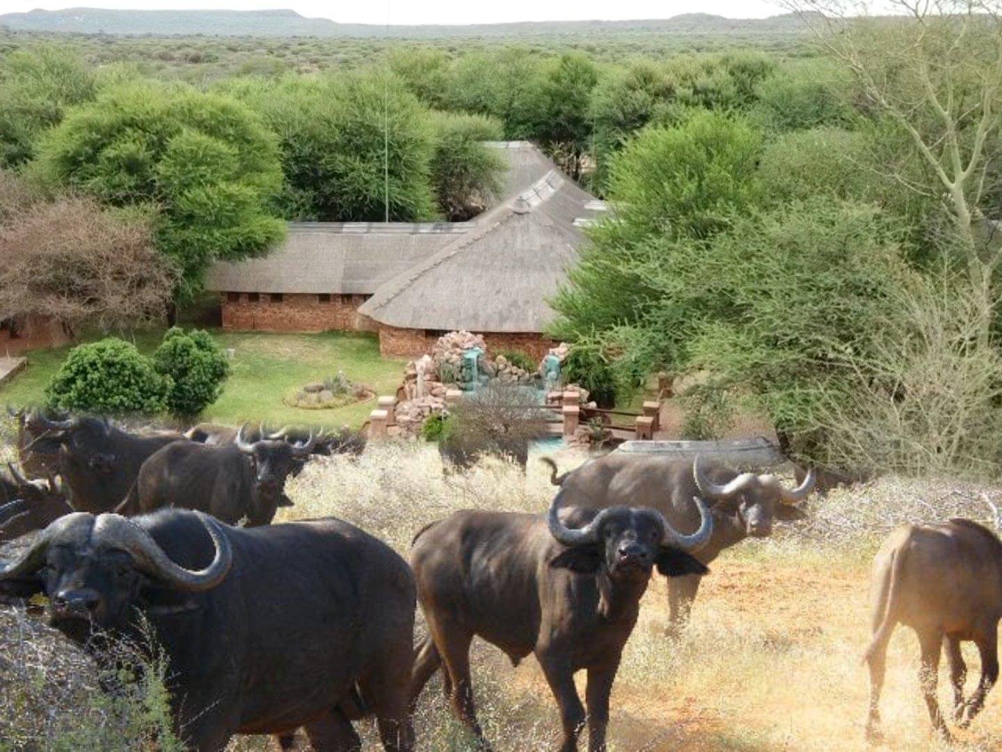 Property and houses for sale in Marble Hall Marble Hall Property