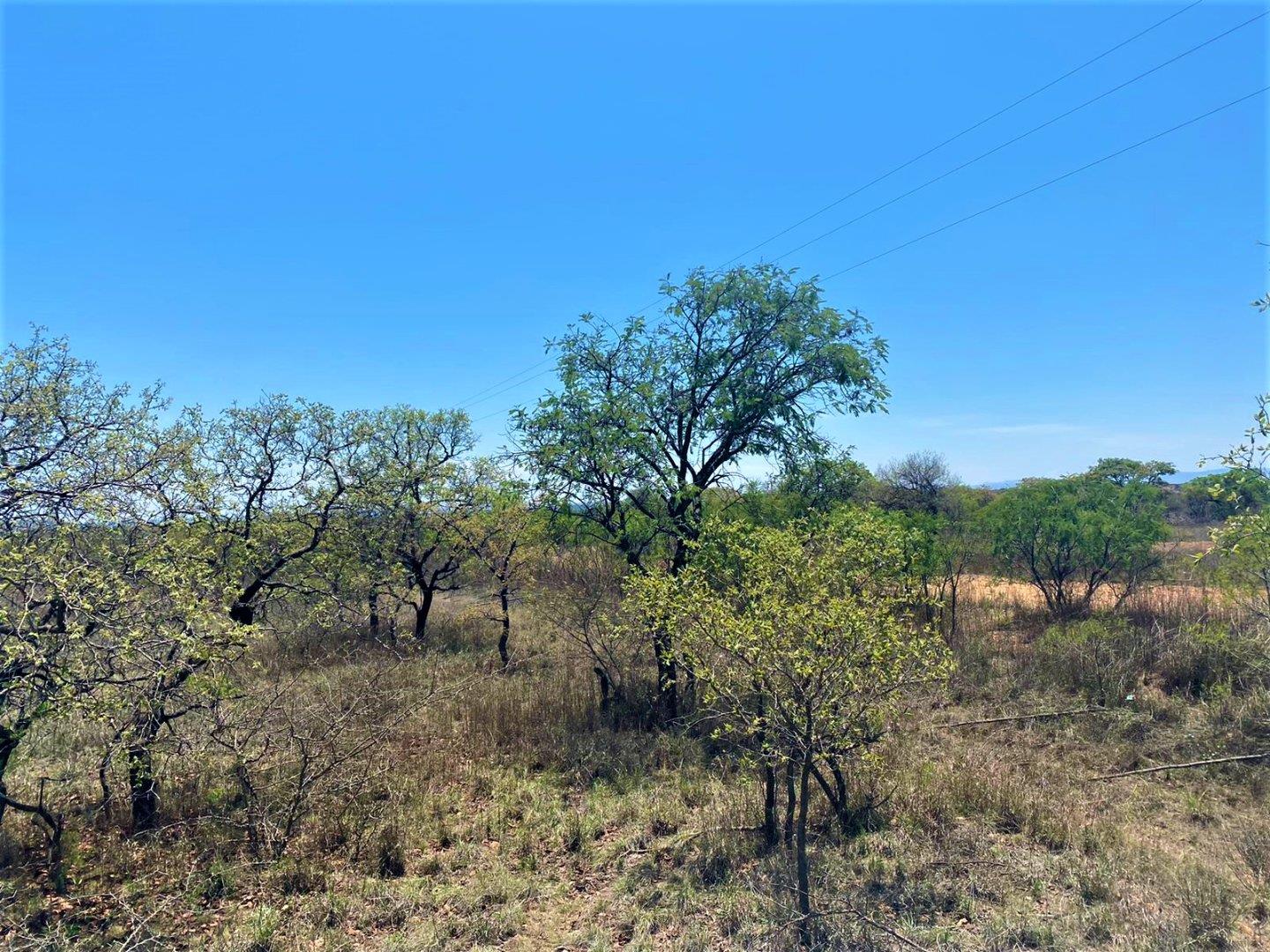 Vacant land / plots for sale in Polokwane Polokwane Property