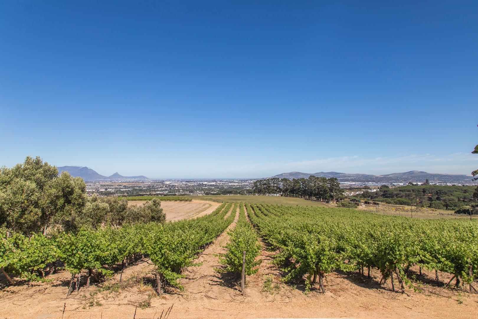 Farm for sale in Stellenbosch Farms Altydlig, Portion 15 Of Farm 245