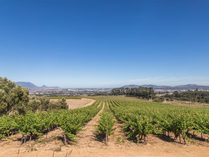 Farm for Sale in Stellenbosch Farms